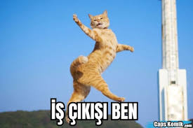 Anahtar Asiri Fakirlik Gelin Kedi Caps Inci Blackhawkimages Org