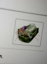 Maybe you would like to learn more about one of these? Identify The Following Plant Cell Organelles Drag Chegg Com