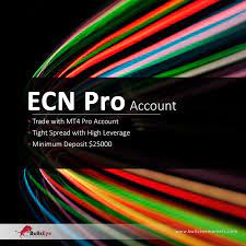 Bullseyemarkets Ecn Pro Account Accounting Open Live Forex Brokers
