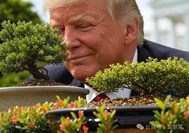 Hong Kong Bonsai Pots added a new...