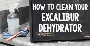 Easy Tips To Clean Your Dehydrator - The Purposeful Pantry