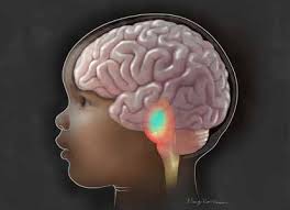 Optimizing the Body's Natural Cancer Killers