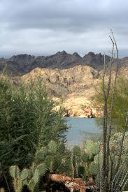The overnight low will be 91 °f (32.8 °c). Buckskin Mountain State Park An Arizona State Park Located Near Lake Havasu City