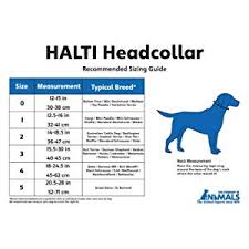 Halti Headcollar Padded Black Size 2