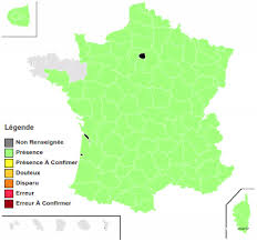 Image result for Vincetoxicum stenolobum