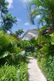Tropical Barbados Garden Stone Path Beach Decor Cove