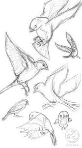 40 Free Easy Animal Sketch Drawing Information Ideas Sketches Bird Drawings Drawing Sketches
