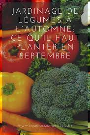 As you can imagine compiling a complete list of legumes would almost be an impossible task. Jardinage De Legumes A L Automne Ce Qu Il Faut Planter En Septembre Jardinage Jardin De Legumes Planter Des Legumes