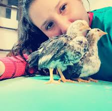 Veterinaria Doctora Jo