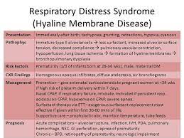 What Is Hyaline Membrane Shannon S Coding Consultations Facebook