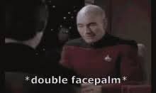 Image result for double facepalm