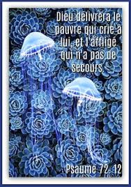 Psaume 72v12 Texte Biblique Psaumes Biblique