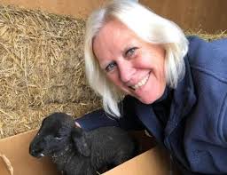 Warndon murder suspect Damian Homer in court