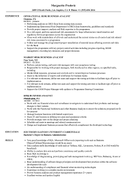 Risk Business Analyst Resume Samples Velvet Jobs