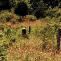 Thomas Lee Caraway Sr. (1729–1817)