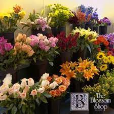 Maybe you would like to learn more about one of these? All Occasions Flowers Gifts 3620 Cypress St West Monroe La 71291 Yp Com