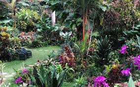Backyard simulation plant ivy fence suitable multiple purpose privacy garden fence backyard party indoor outdoor. The Best Garden In The Caribbean Is Hiding In Someone S Backyard Travel Leisure