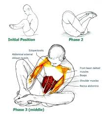 Seal Exercises To Improve Flexibility And Movement Of Your Back And Spine Part 2 The Health Science Journal Improve Flexibility Exercise Yoga Anatomy