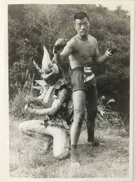 연합뉴스는 새로운 시대에 걸맞은 멀티미디어 콘텐츠로 다양한 상품, 다양한 뉴스를 생산하고 있습니다. æ²¢æ'å¿  Hashtag On Twitter