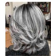 Female Hairstyles Archives Stylendesigns Hair Styles Gray Hair Highlights Silver Hair Color