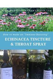 To take a tincture, it is best to take the drops directly under the tongue. Homemade Echinacea Tincture And Throat Spray Diy Medicine Herbal Medicine Herbs Home Remedies Natural Healing Remedies Herbal Tinctures Herbal Medicine