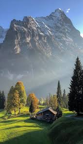 Richard Clayderman  –  15