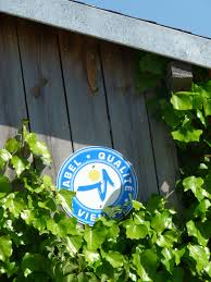 Decouvrez Deux Types D Hebergements Insolites Pres De Chatellerault Et Du Futuroscope 0549936819 Http Www A Hebergement Insolite Insolite Locations Vacances