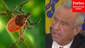 A Year of COVID-19: KCHD Director Dr. Martha Buchanan reflects