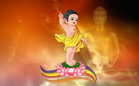 Theo phong thủy thì trong ngày này bạn nên làm một số việc sau nếu muốn cầu không chỉ vệ sinh sạch sẽ nhà mình, các phật tử cũng nên làm các công tác xã hội như bảo vệ môi trường, dọn dẹp các con phố, đường xá nơi mình. Trung Æ°Æ¡ng Giao Há»™i Pháº­t Giao Viá»‡t Nam Ra Cong VÄƒn Ä'áº¡i Lá»… Pháº­t Ä'áº£n Pl 2564 Chua A Di Ä'a