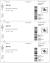 Diy Boarding Pass Gift