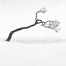 Artistic Black And White Art Photography Forms Of Japan Incredible Black And White Photos Of Japan Photos The Weather Channel Black And White Landscape White Photography Landscape Photography