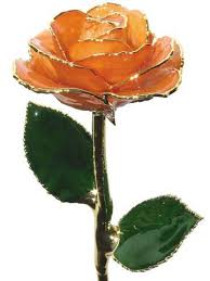 Profile for The Fort Worth Assembly