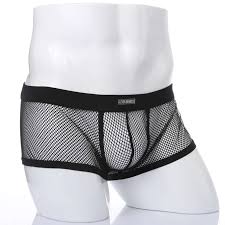 Sexy Mesh Fishnet Boxer Briefs See Through Mens Underwear Bulge Pouch  Exotic Lingerie From Streetwearstore, $8.42 | DHgate.Com