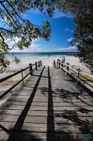 11 Best Beaches In South Coast Nsw South Coast Nsw Best Beaches To Visit Australia Travel
