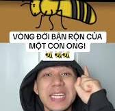 Khám Phá Vòng Đời Bận Rộn Của Con Ong