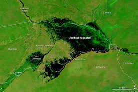 The zambezi river is born in zambia but then it runs throug angola, namibia, bostwana, zambia, zimbabwe and mozambique where it empties into the indian ocean. Zambezi Flood Plain Namibia