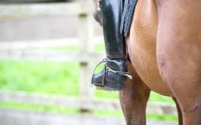There is no such thing as failure in this race! Pin On Equestrian News