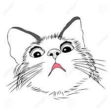 Use your creativity to finish your drawing by adding a background.join our monthly membership and dow. Scared Worried Cat Hand Draw Illustration Royalty Free Cliparts Vectors And Stock Illustration Image 43890422