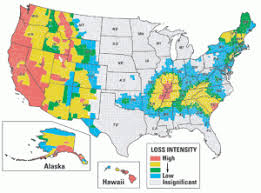How To Survive An Earthquake Financial Literacy Earthquake Prediction Earthquake