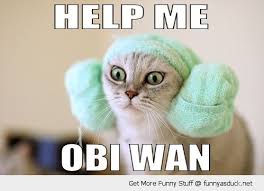 Pin By Paco On Bazinga Help Me Obi Wan Star Wars Memes Crazy Cats
