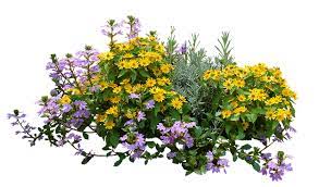 F1001 Png F1001png Tree Photoshop Photoshop Landscape Plants