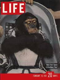 Life Magazine February 10 1961 Astrochimp Life Magazine Covers Life Magazine Life Cover