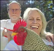 Postal error kills up to 15,000 newly hatched chicks, leaves SPCA with  2,000+