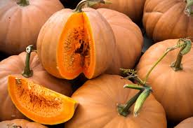 Image result for Cucurbita moschata