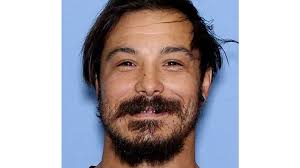 Full of tears and love,' Tallahassee Museum says farewell to Florida  panther Buddha