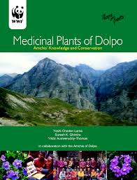 Postingan populer dari blog ini. Pdf Medicinal Plants Of Dolpo Amchis Knowledge And Conservation