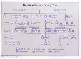 Wer folgt auf königin elisabeth. Did You Know That Hemophilia Is Also Called The Royal Disease Queen Victoria Of England Was A Carrier And Passed It On To Several Royal Families Aaa Gesch