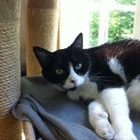 While the bulk of our patients are dogs and cats, it is not unusual to find a ferret, a raccoon, a pig, or a. Pet Vet Family Pet Care Center 229 S Drake Rd