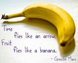 Time Flies Like An Arrow Fruit Flies Like A Banana Time Flies Like An Arrow Fruit Flies Like A Banana Groucho Marx Fruit Flies Fruit Banana