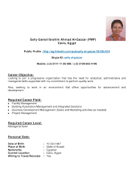 Sally Cv 15 Aprl2012 Docx Brief